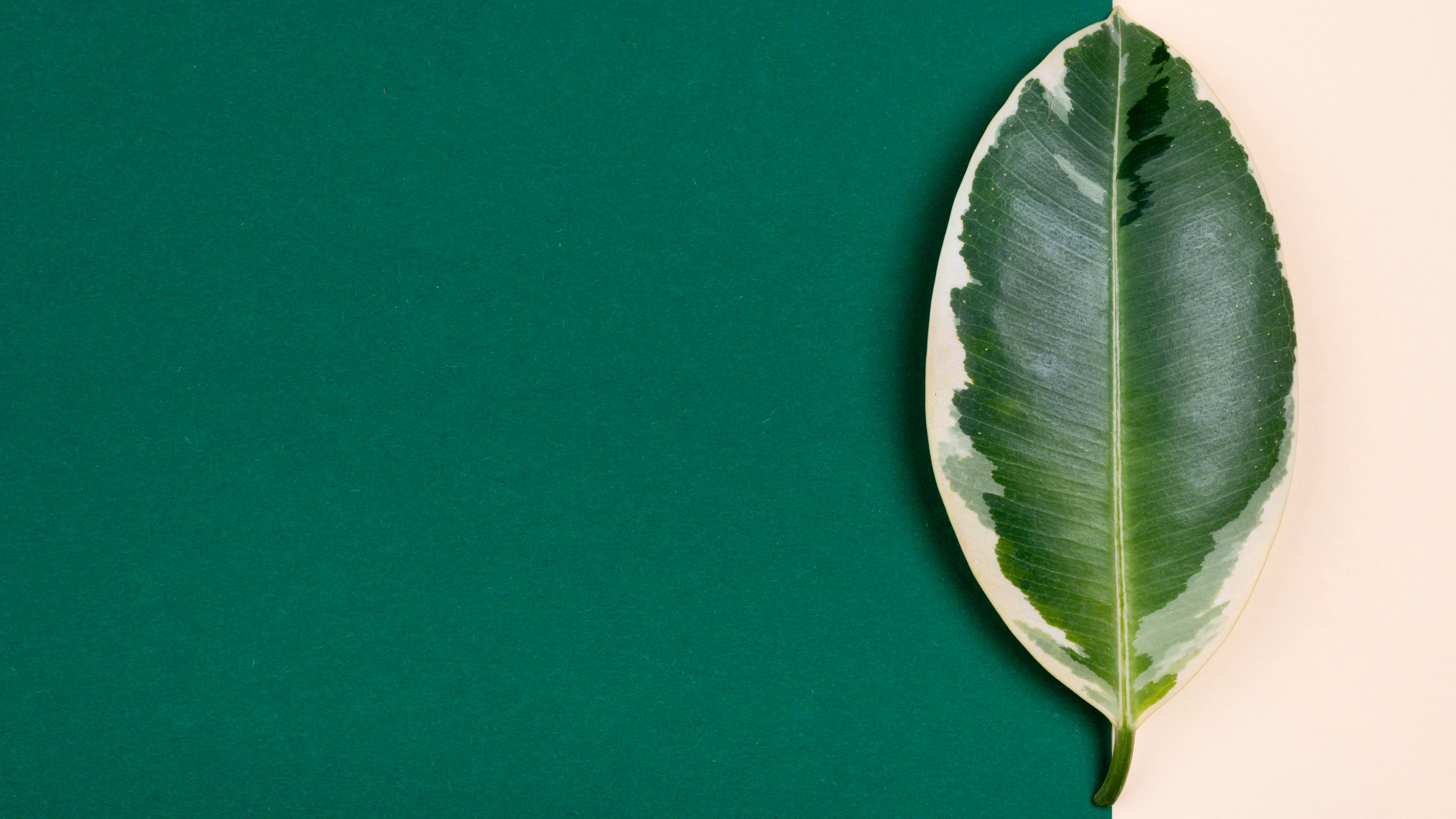 Sustainable packaging slide