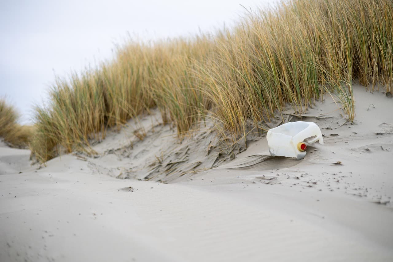 Innovative biodegradable tableware