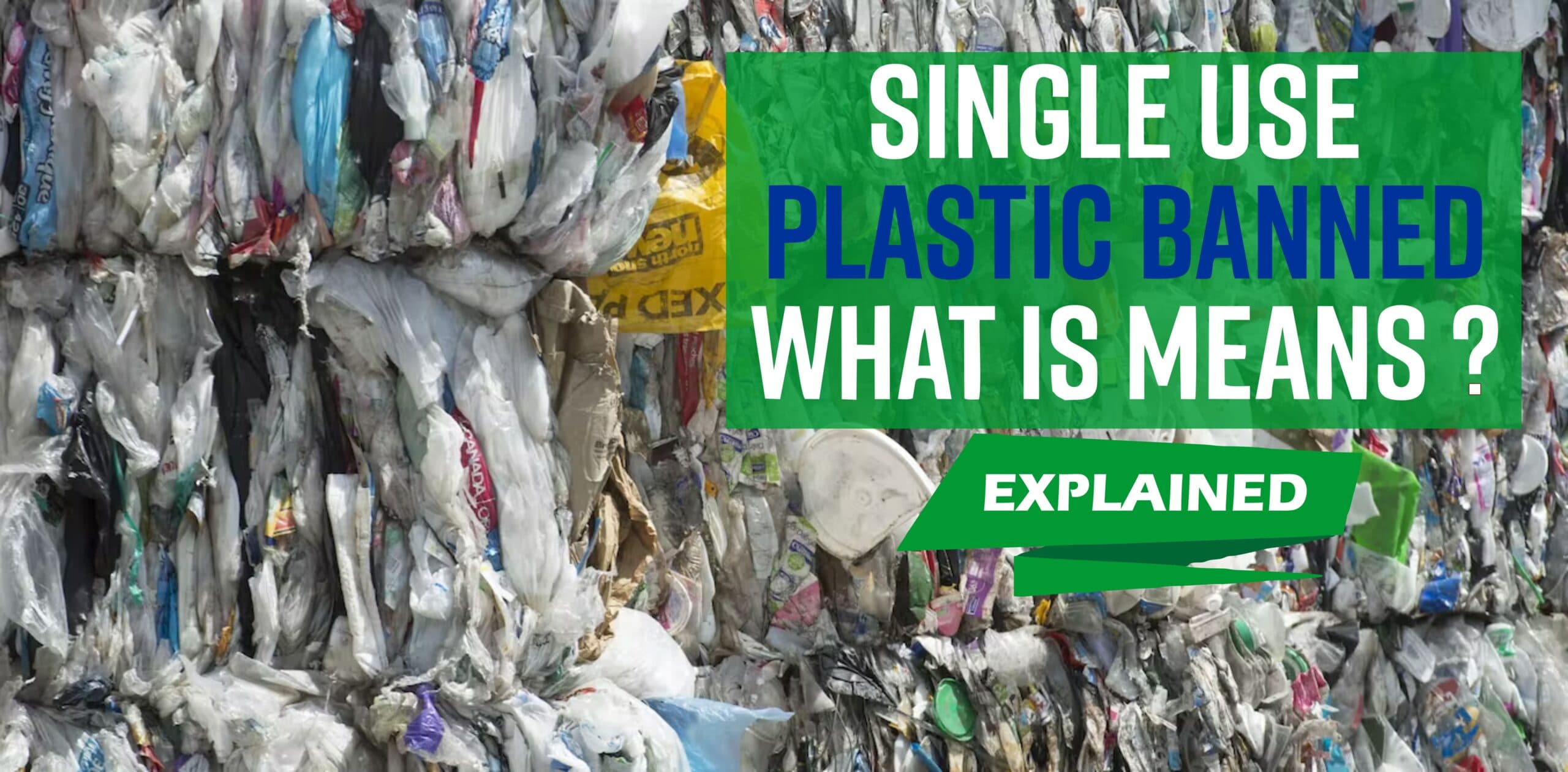 India’s Single-Use Plastic Ban: What It Means for the Future of Packaging