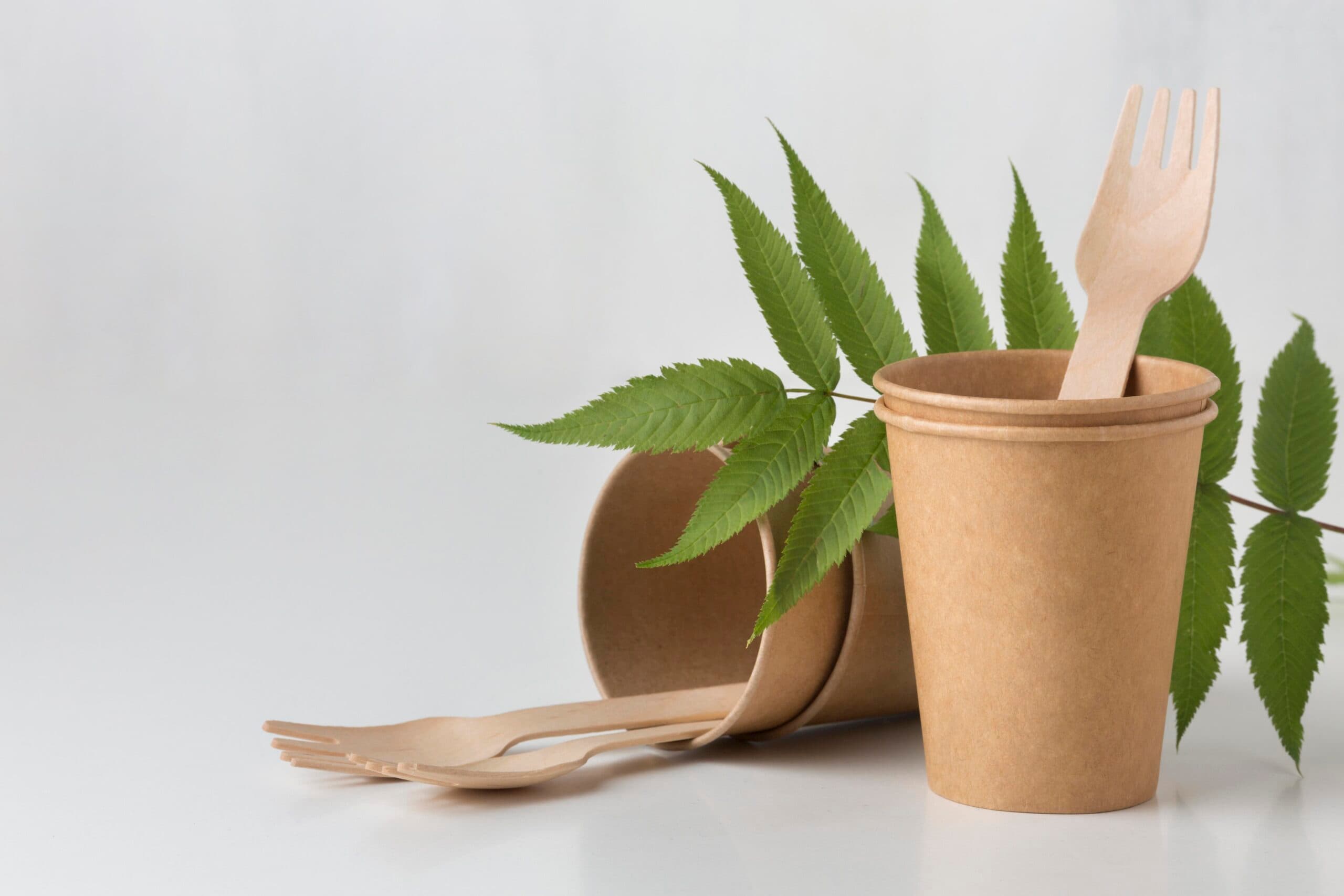 Why Sugarcane Bagasse Tableware is the Future of Sustainable Dining