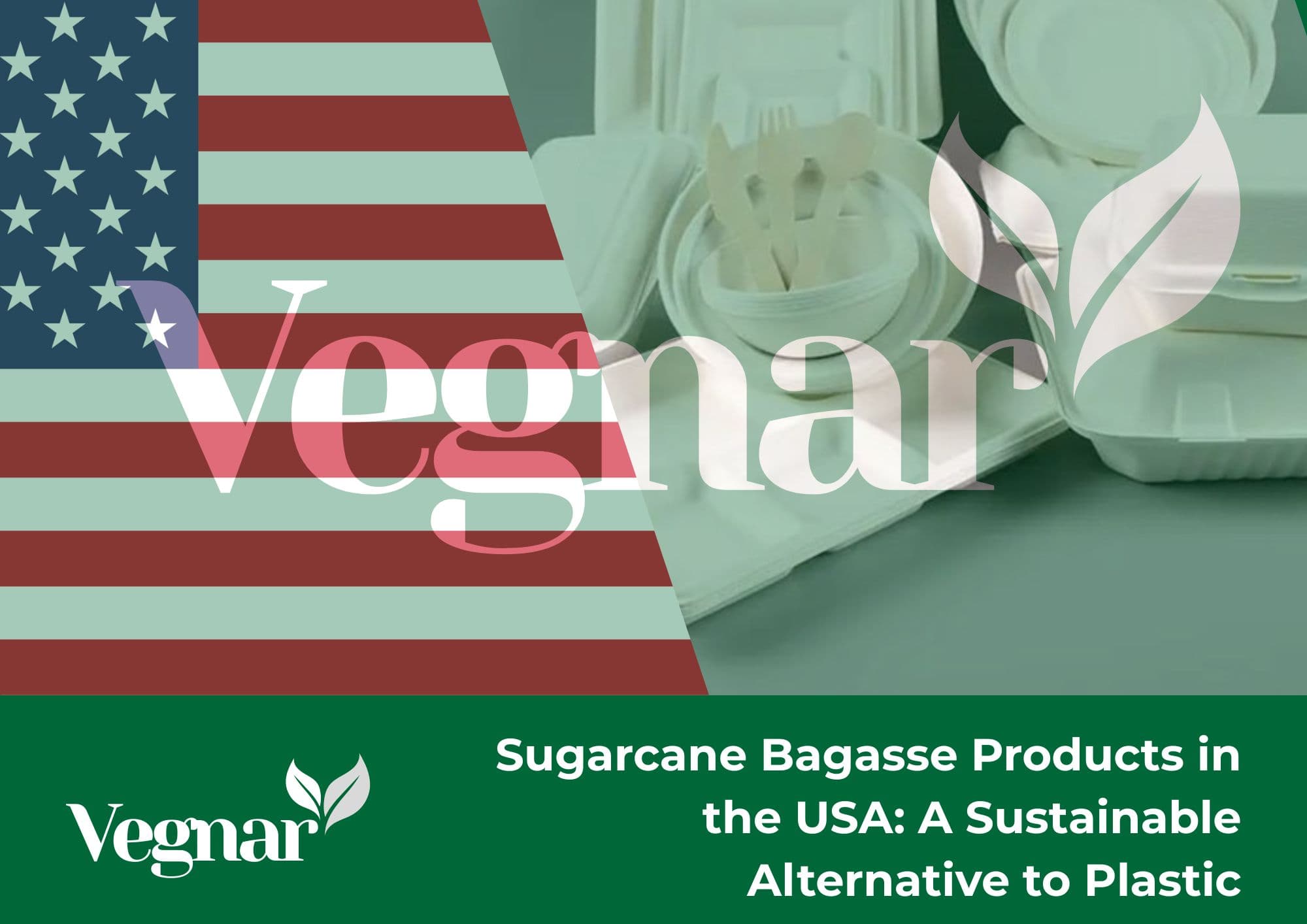 Sugarcane Bagasse Products in the USA: A Sustainable Alternative to Plastic